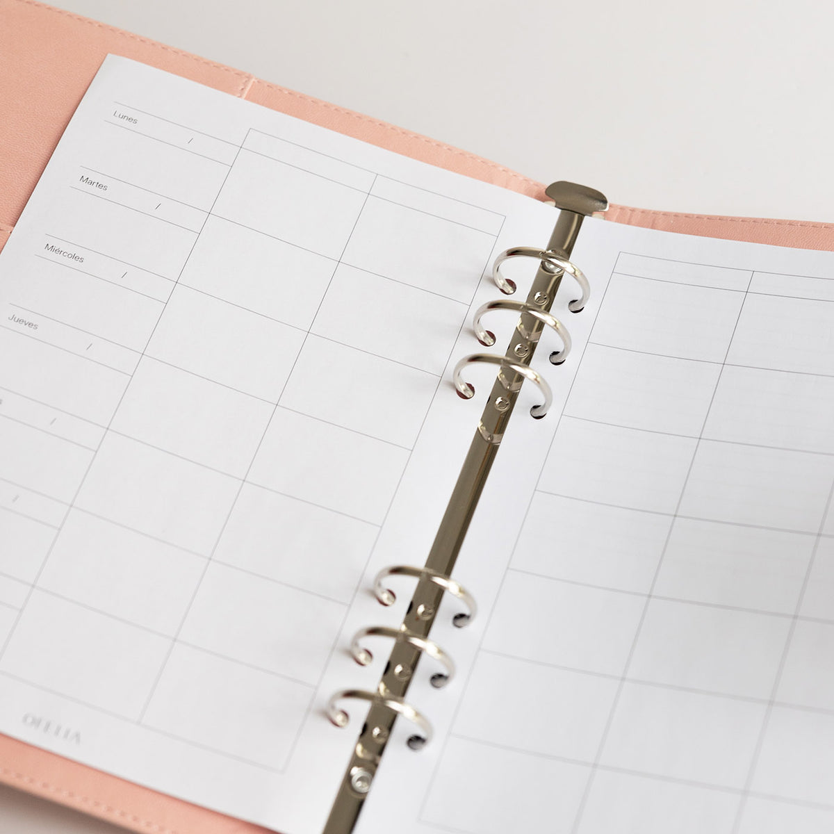 Agenda diaria (Original)