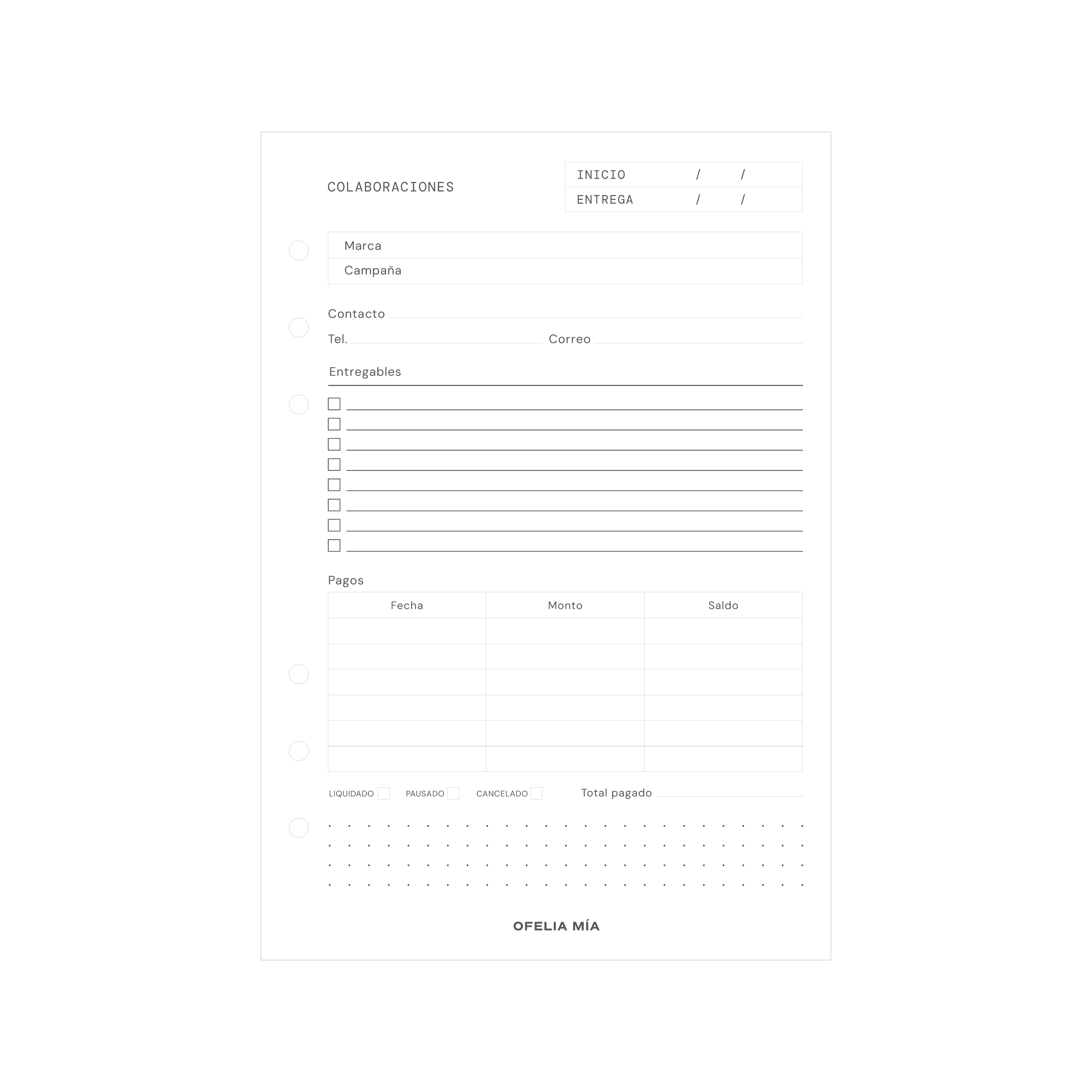 Bundle Creador de Contenido