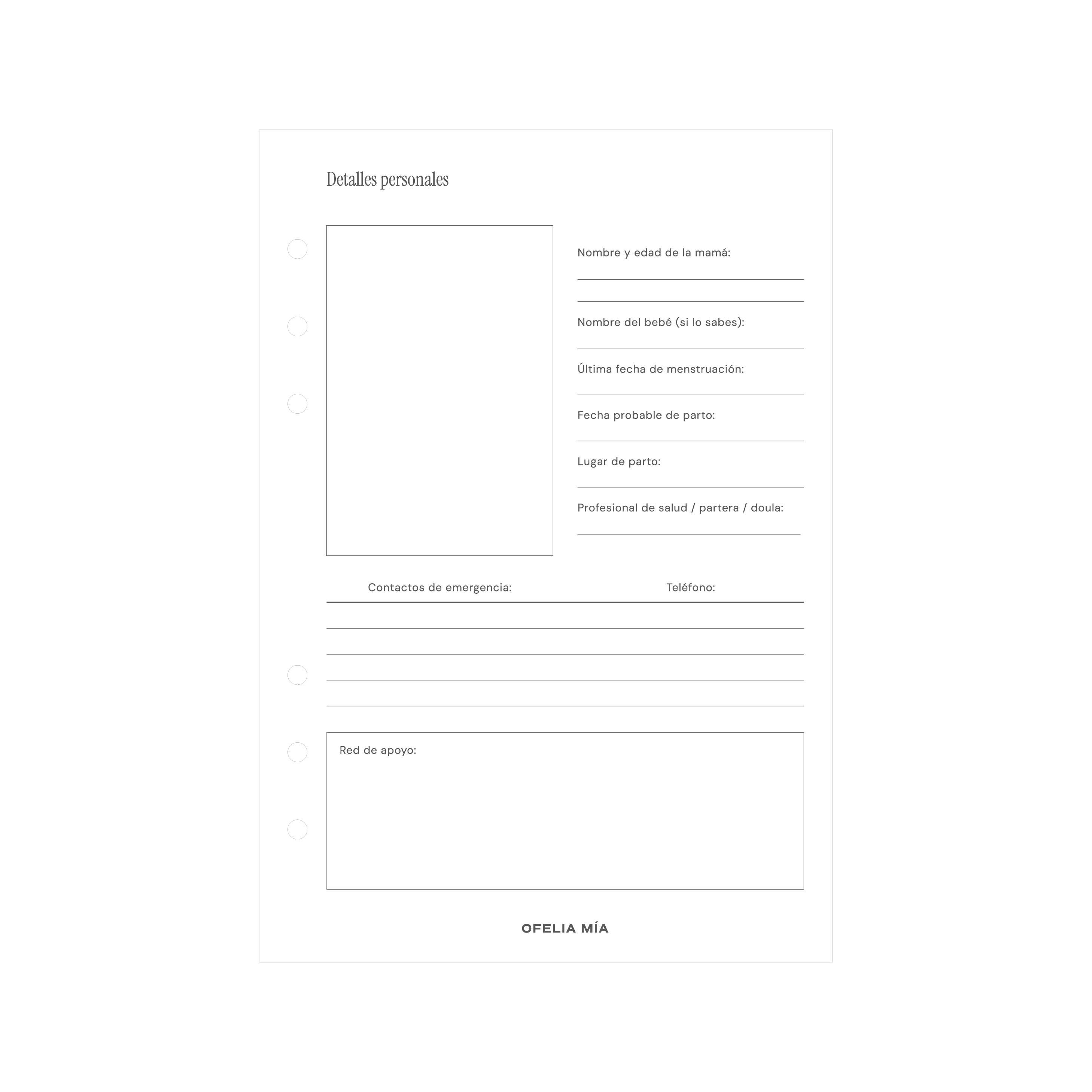Bundle Pregnancy Journal