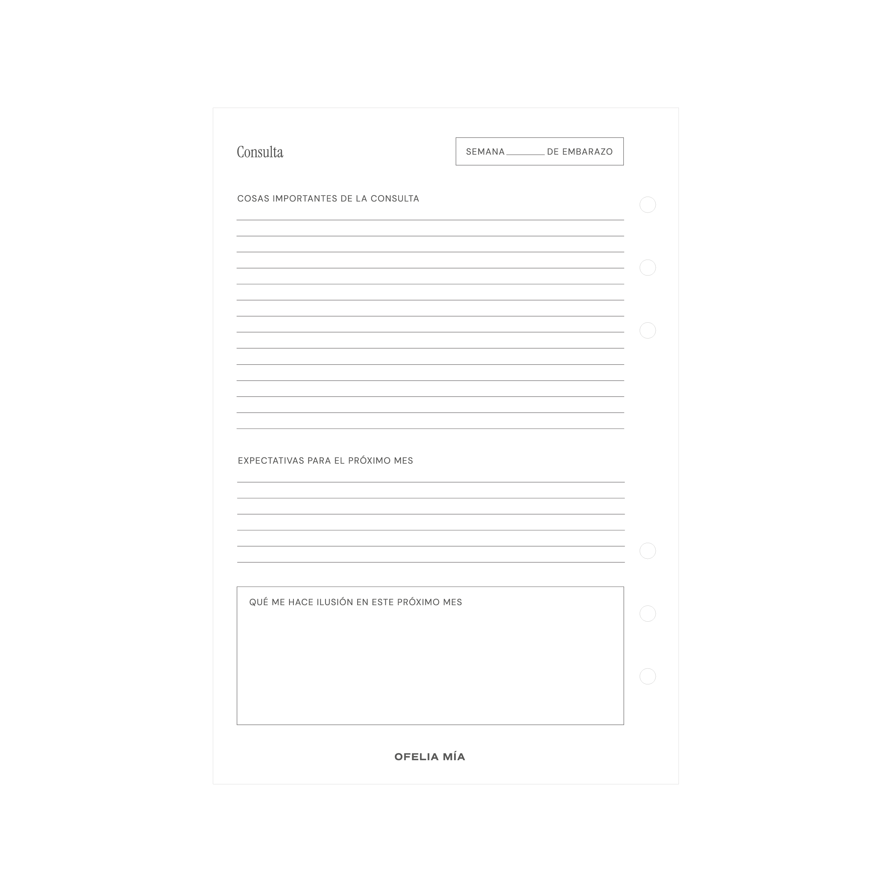 Bundle Pregnancy Journal