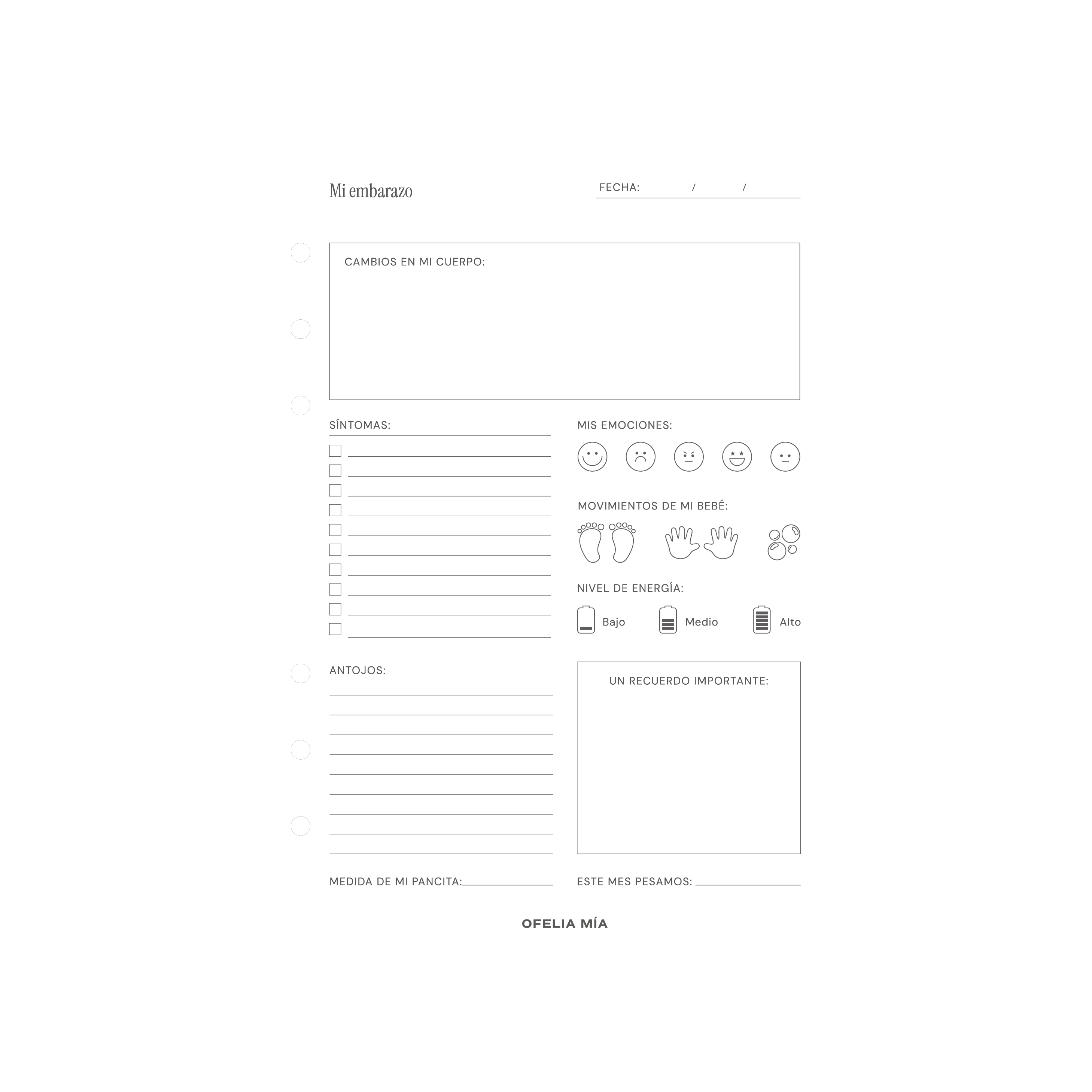Bundle Pregnancy Journal