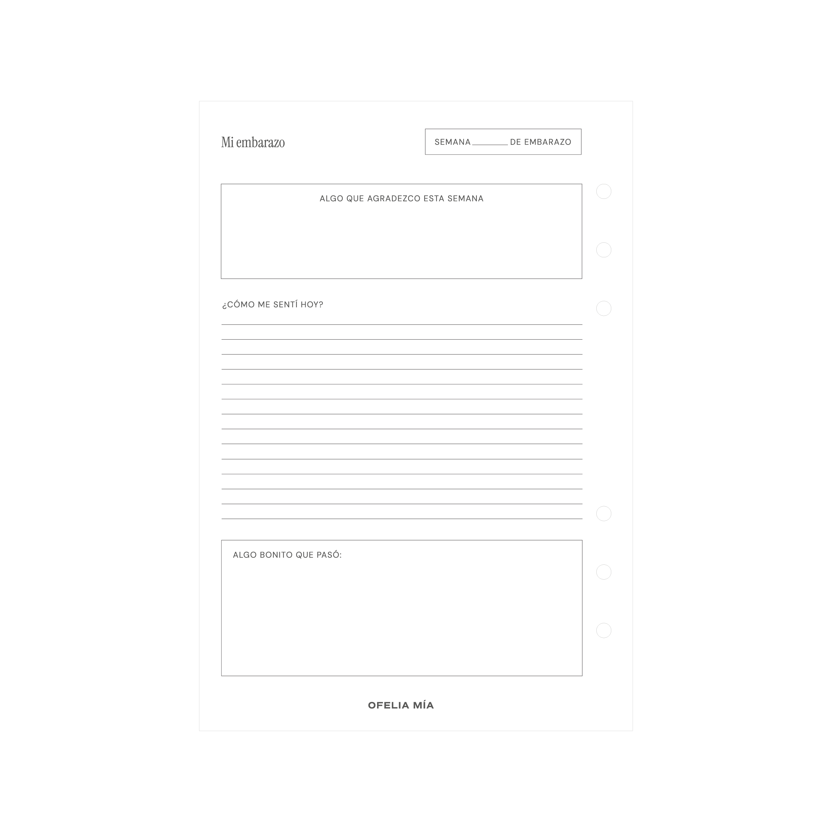 Bundle Pregnancy Journal
