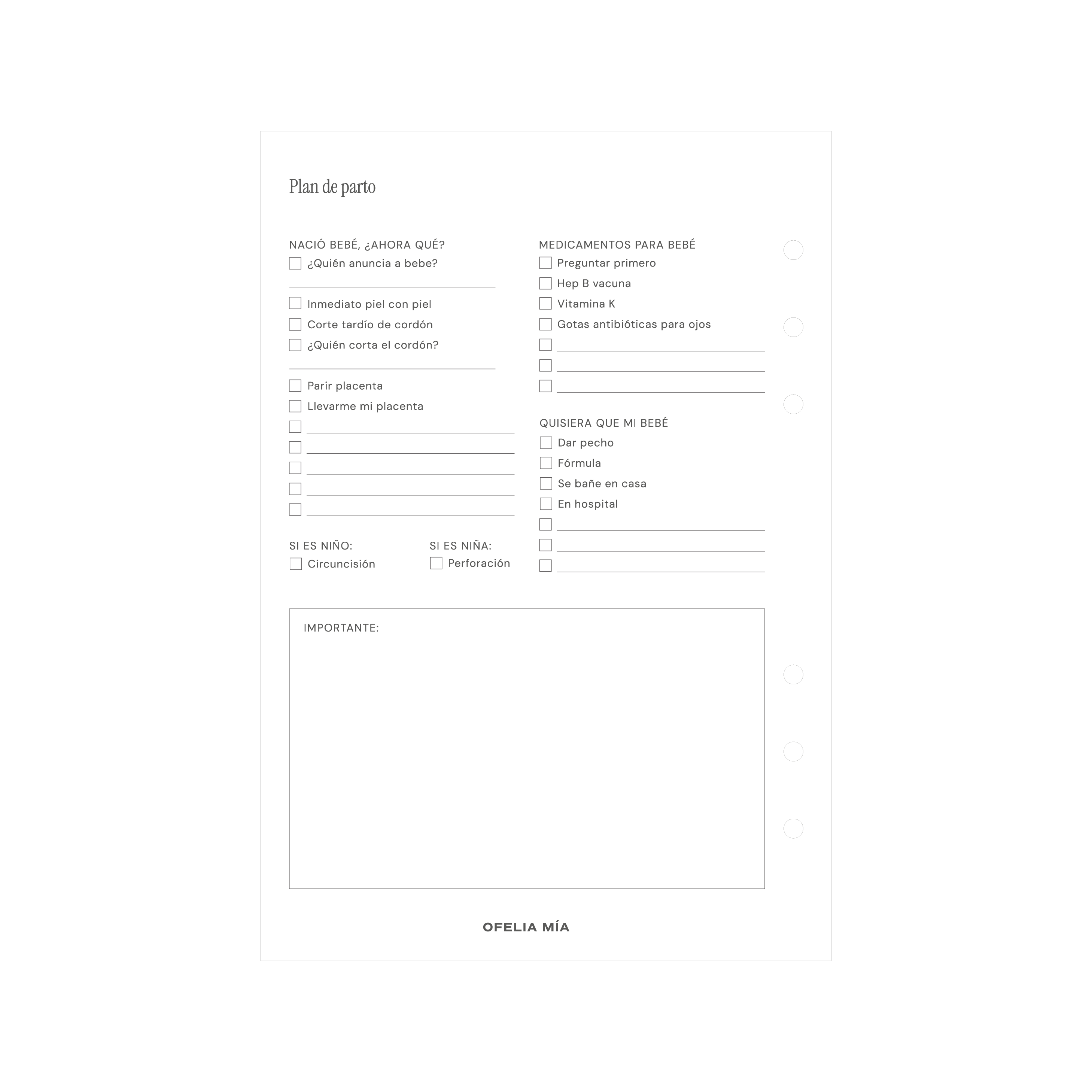 Bundle Pregnancy Journal