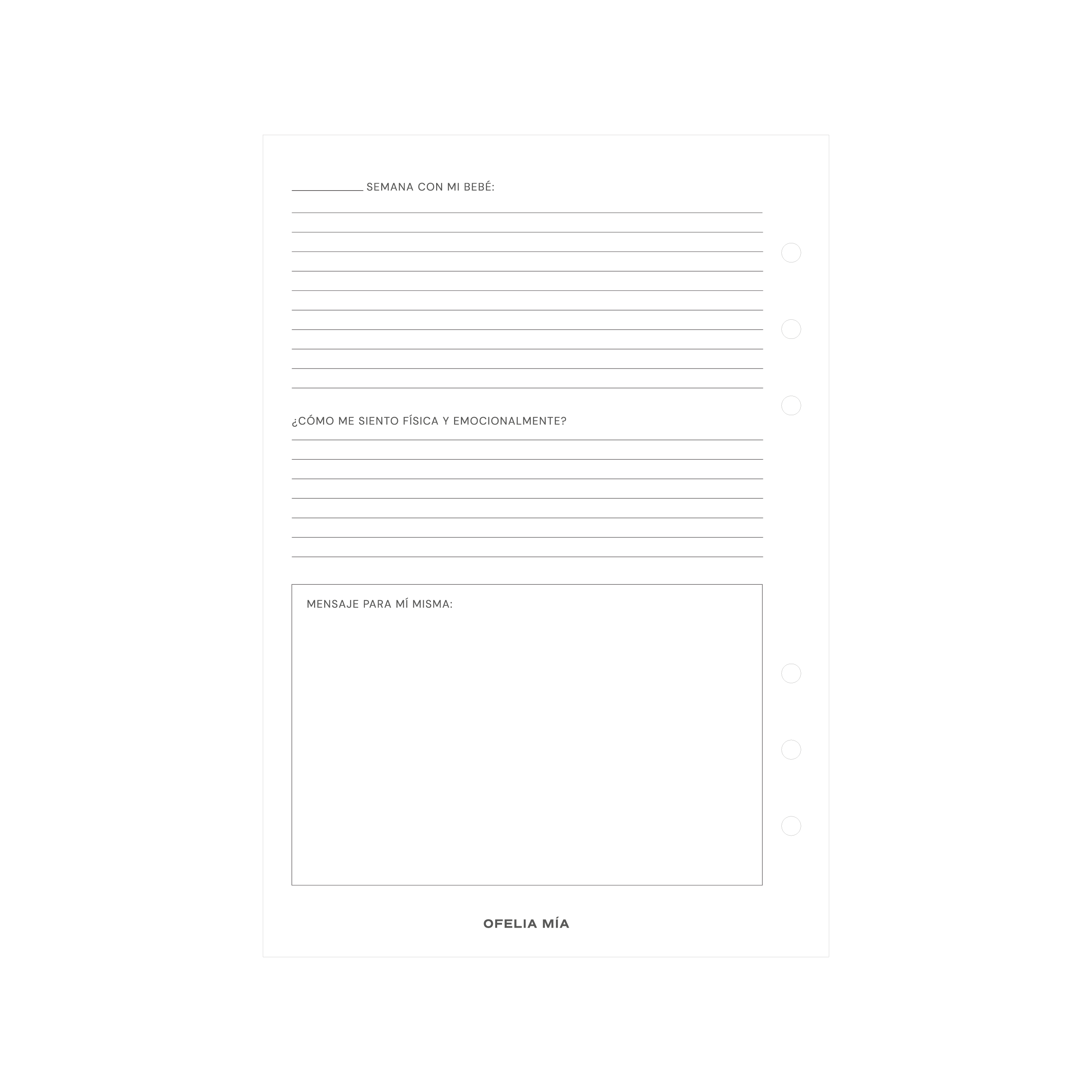 Bundle Pregnancy Journal