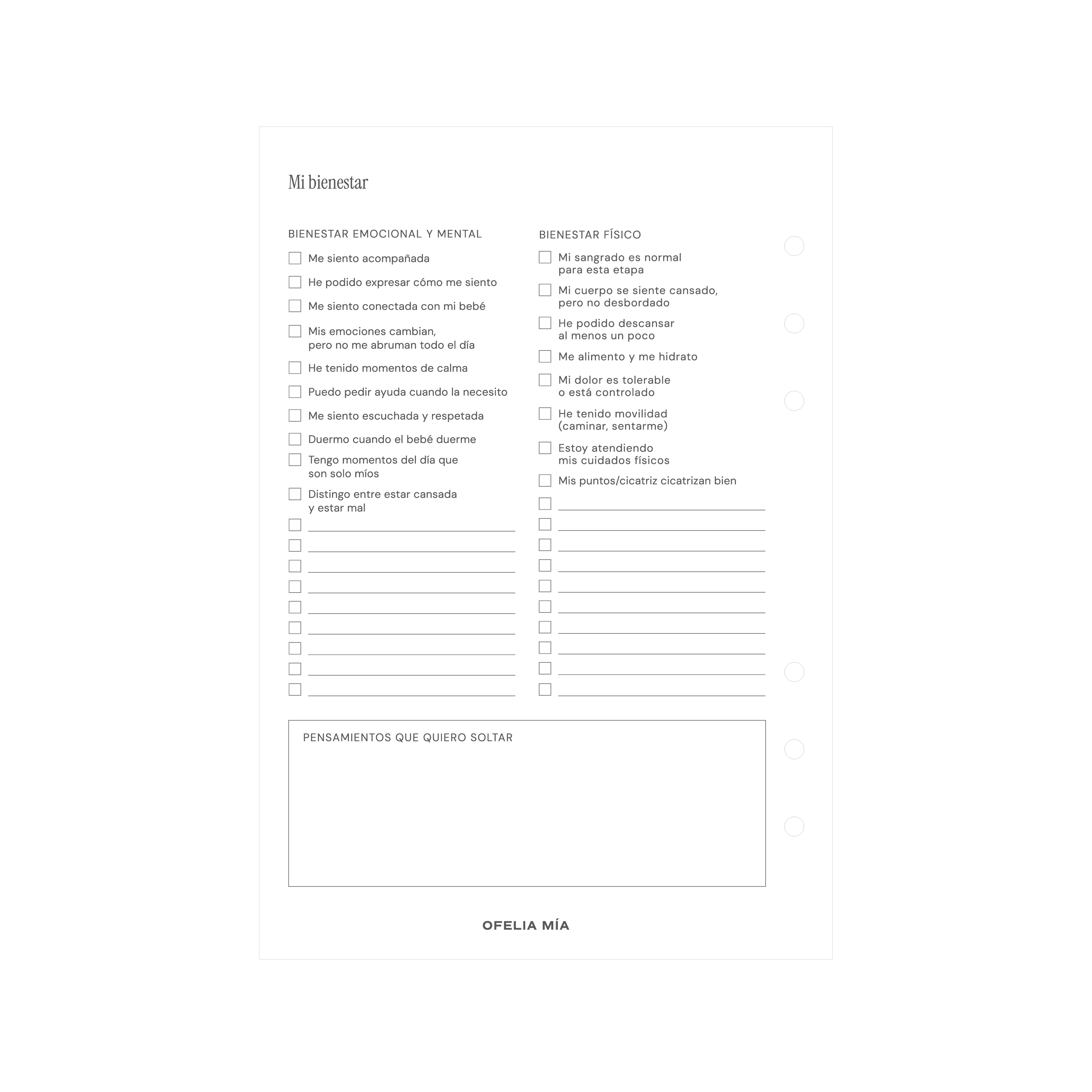 Bundle Pregnancy Journal