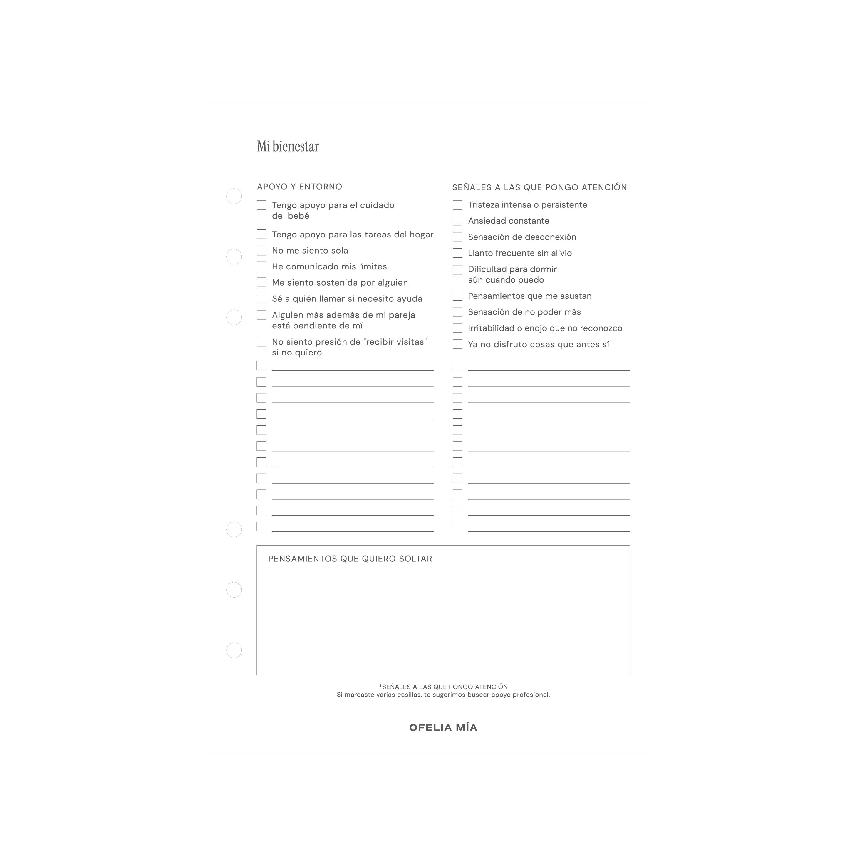 Bundle Pregnancy Journal