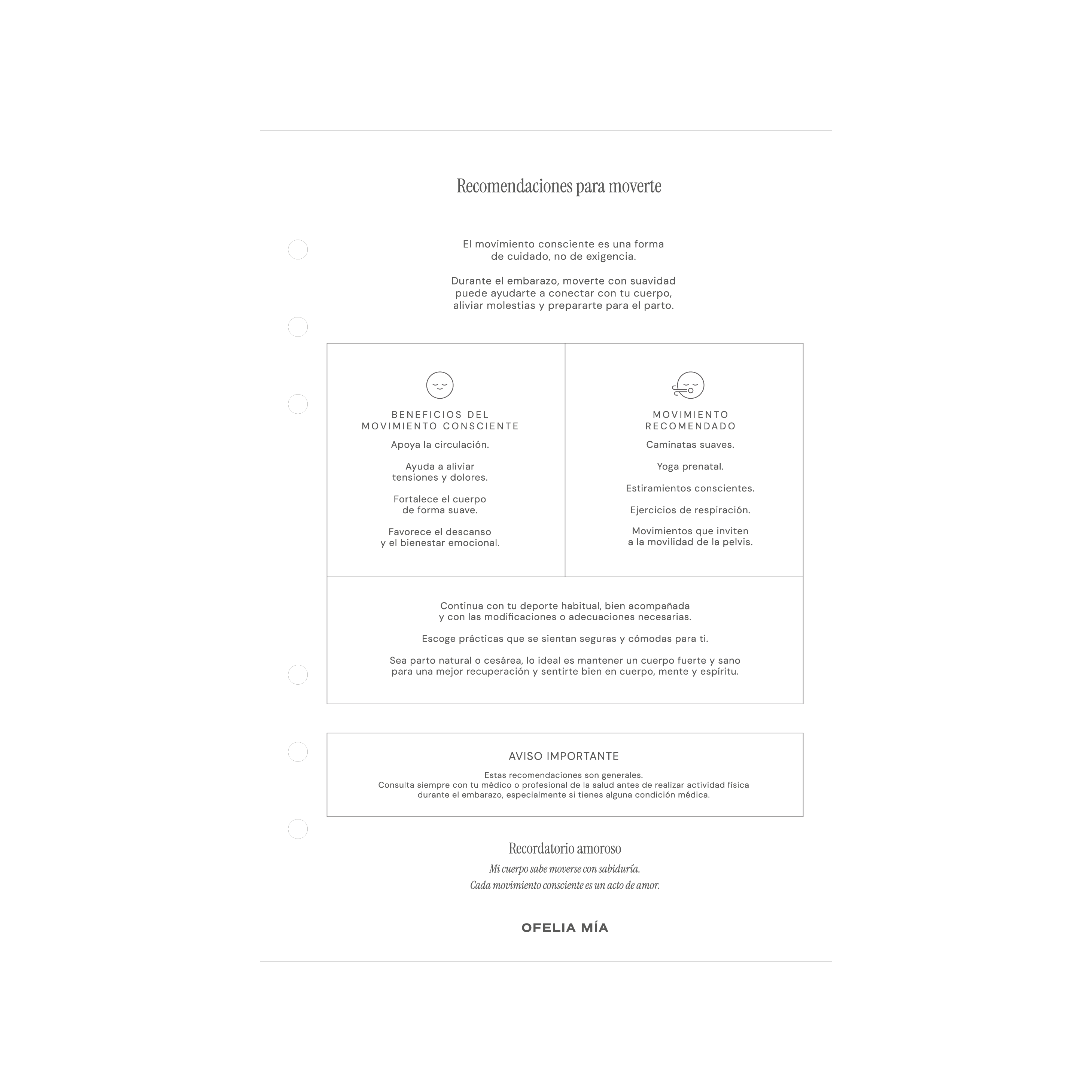 Bundle Pregnancy Journal