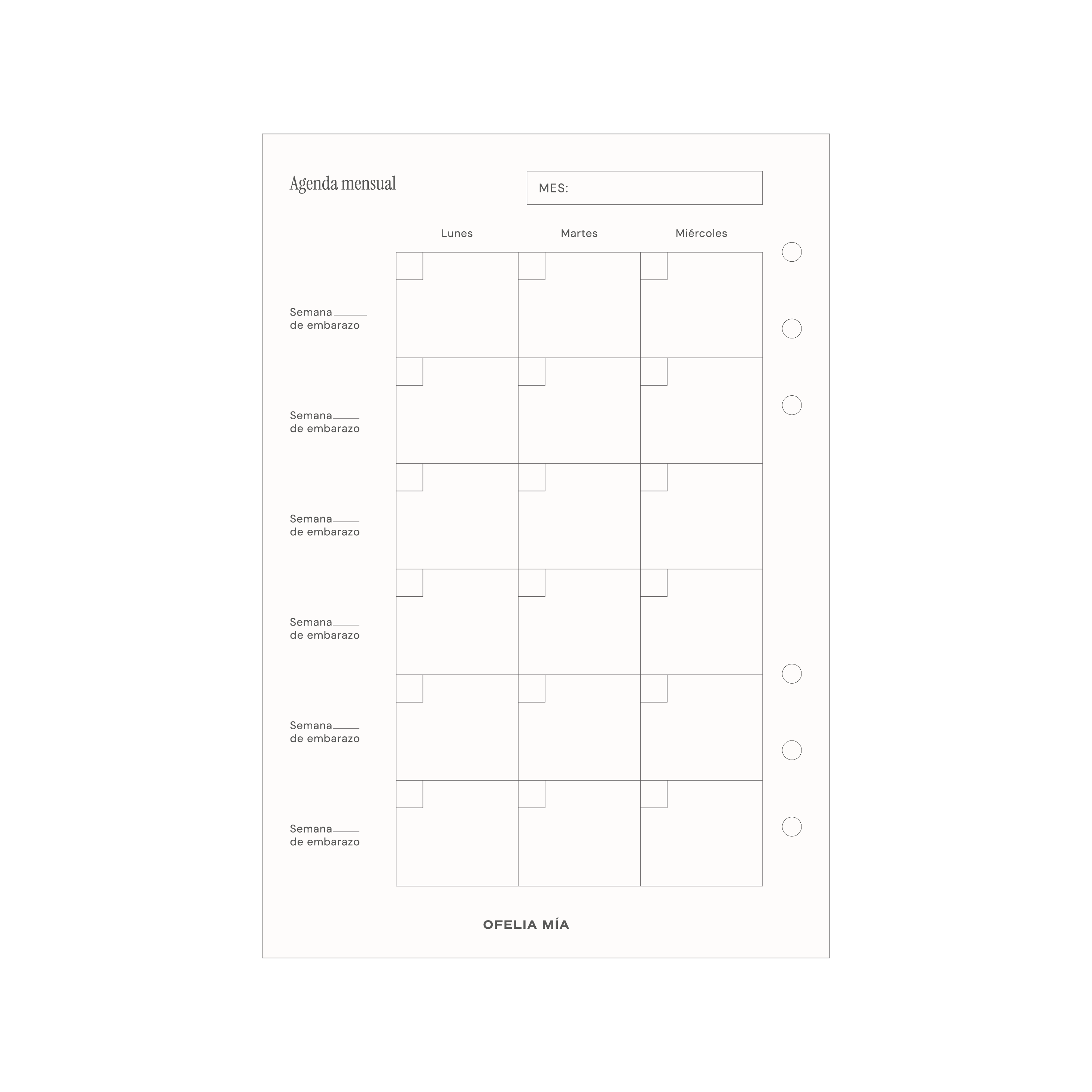 Bundle Pregnancy Journal