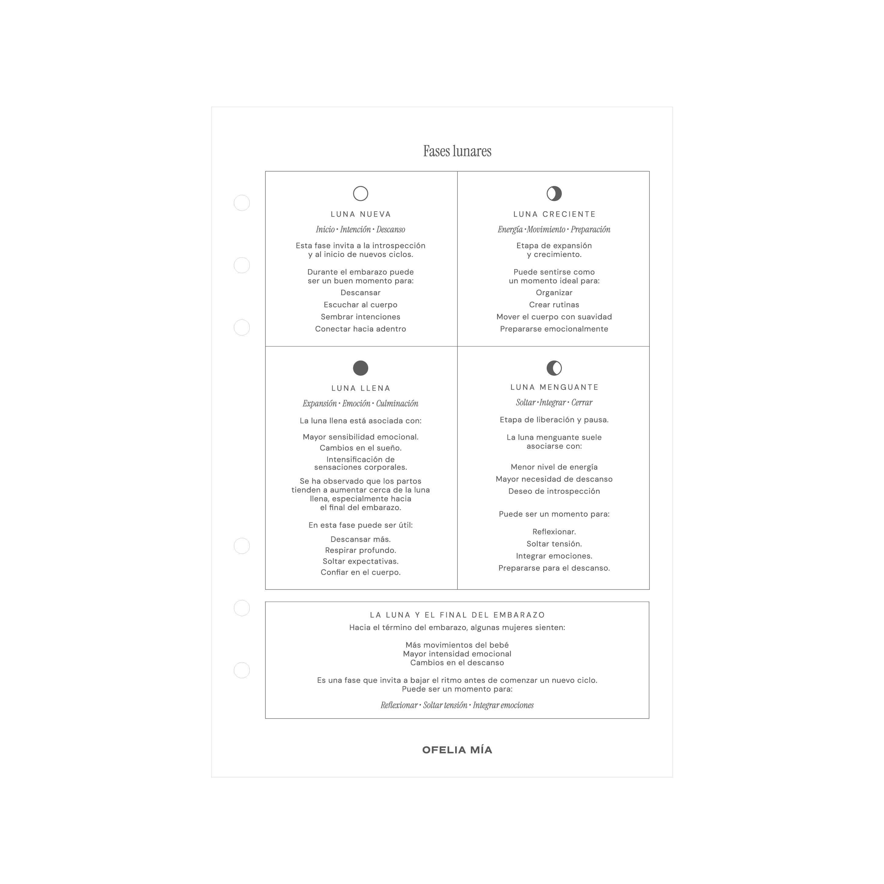 Bundle Pregnancy Journal