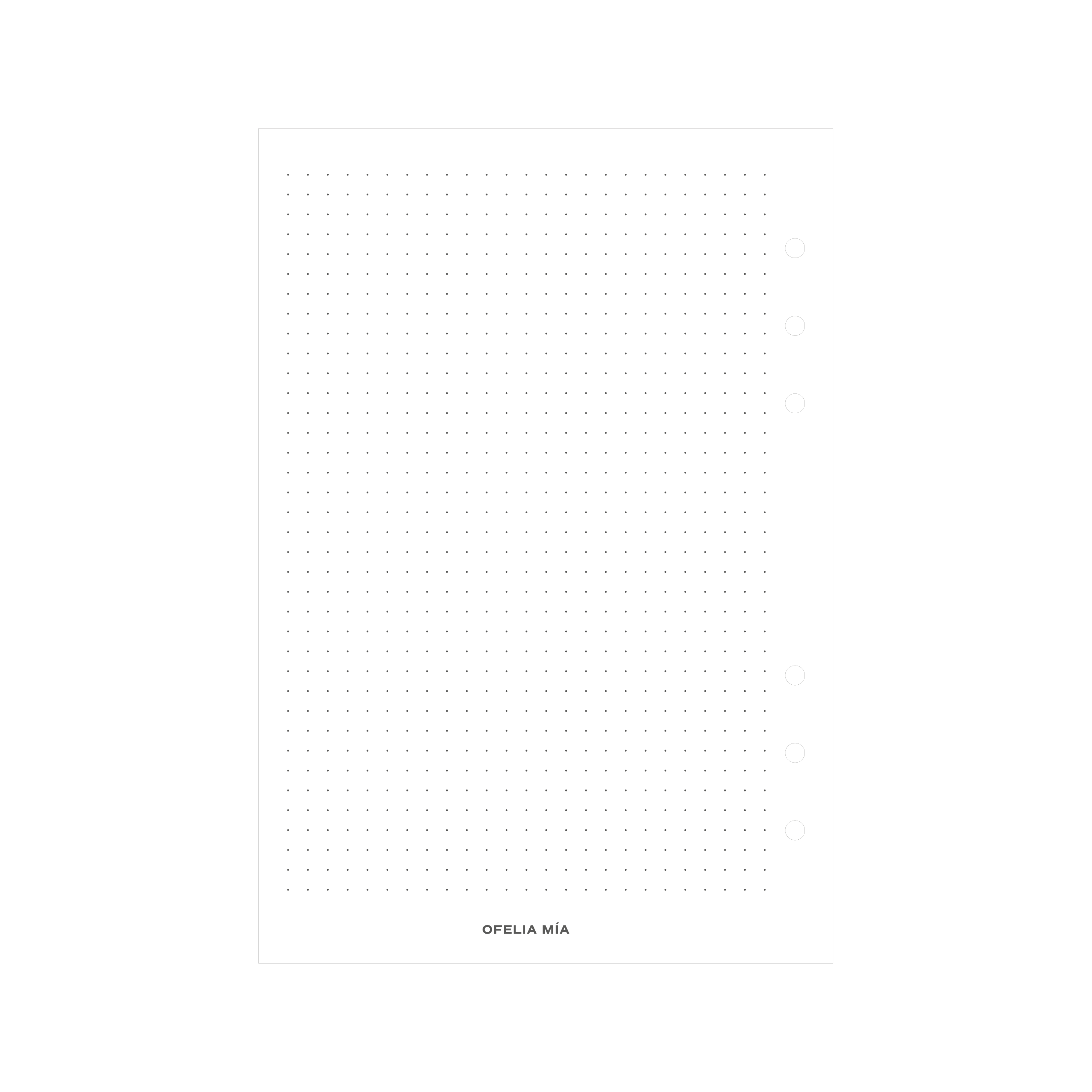 Bundle Pregnancy Journal