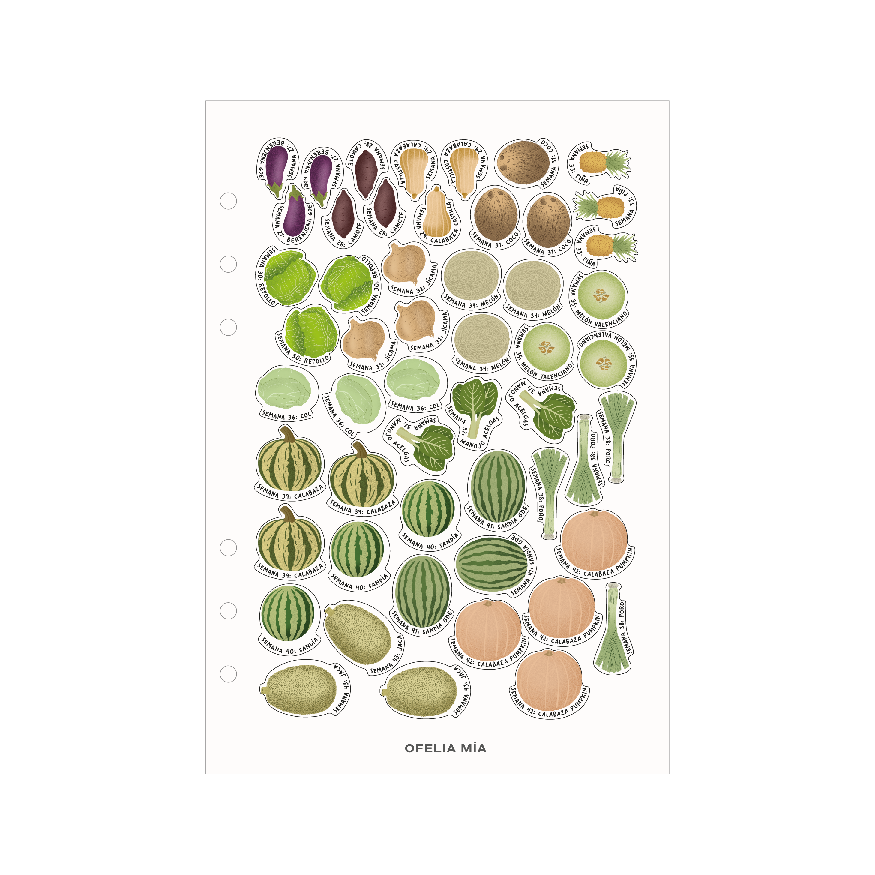 Bundle Pregnancy Journal