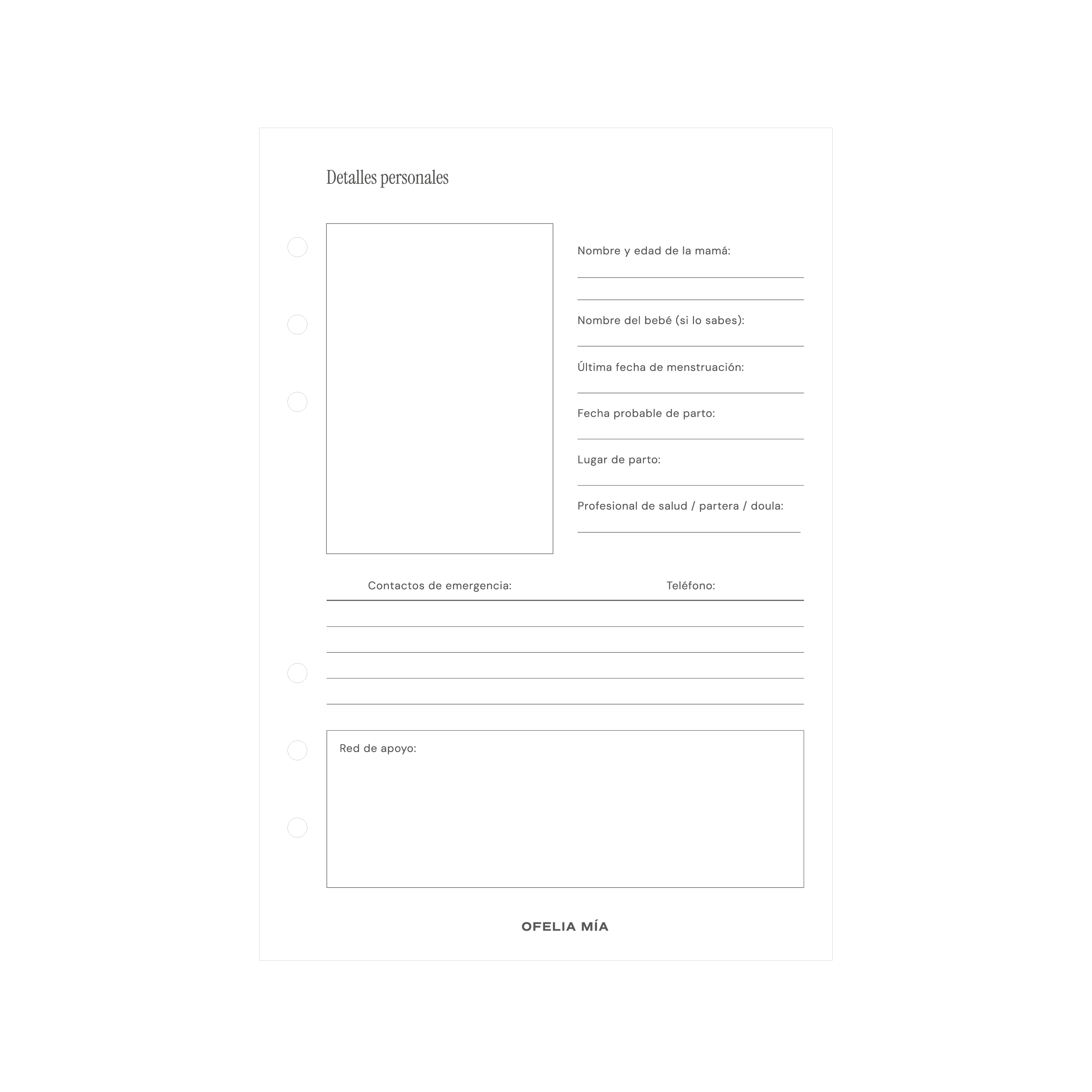 Bundle Pregnancy Journal