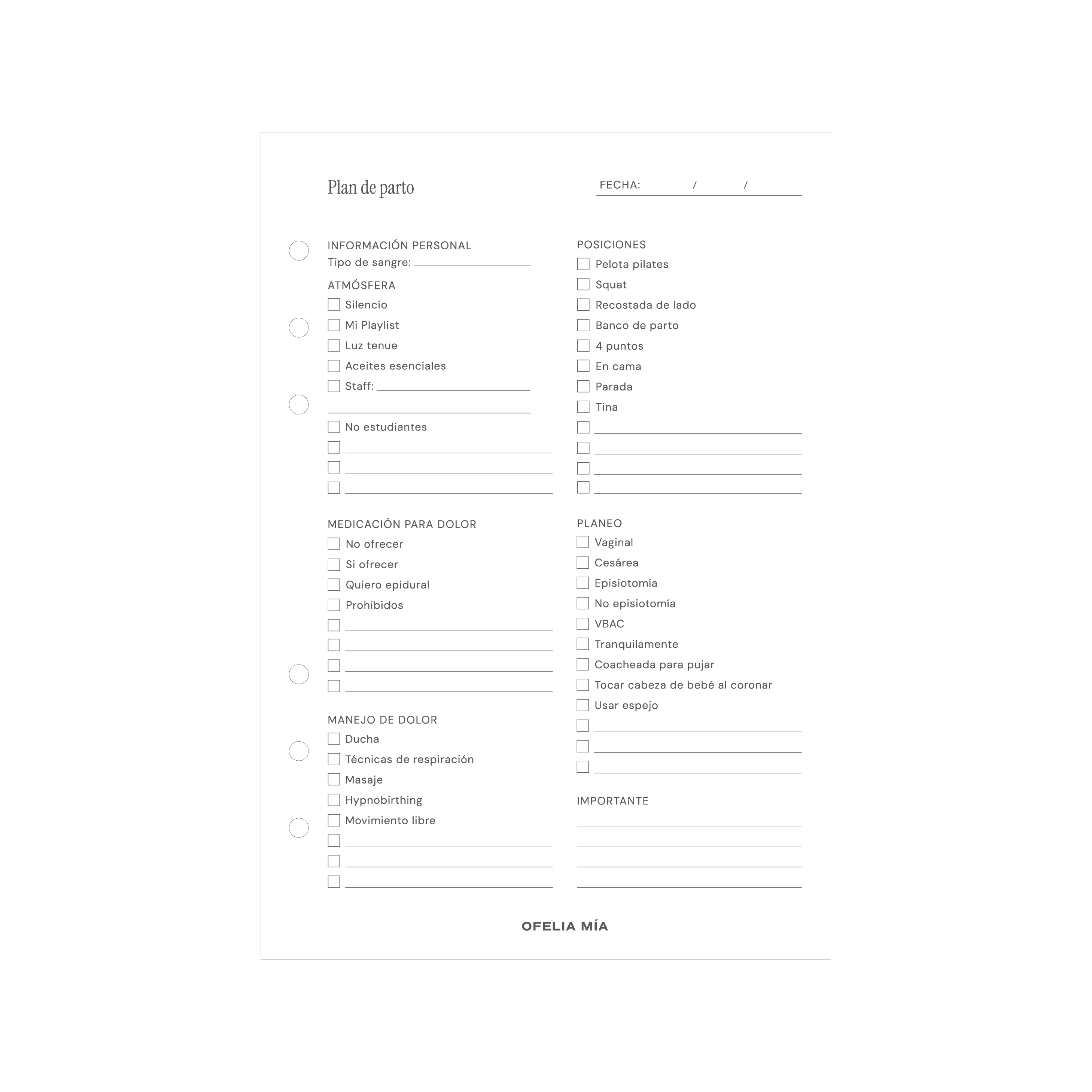 Bundle Pregnancy Journal