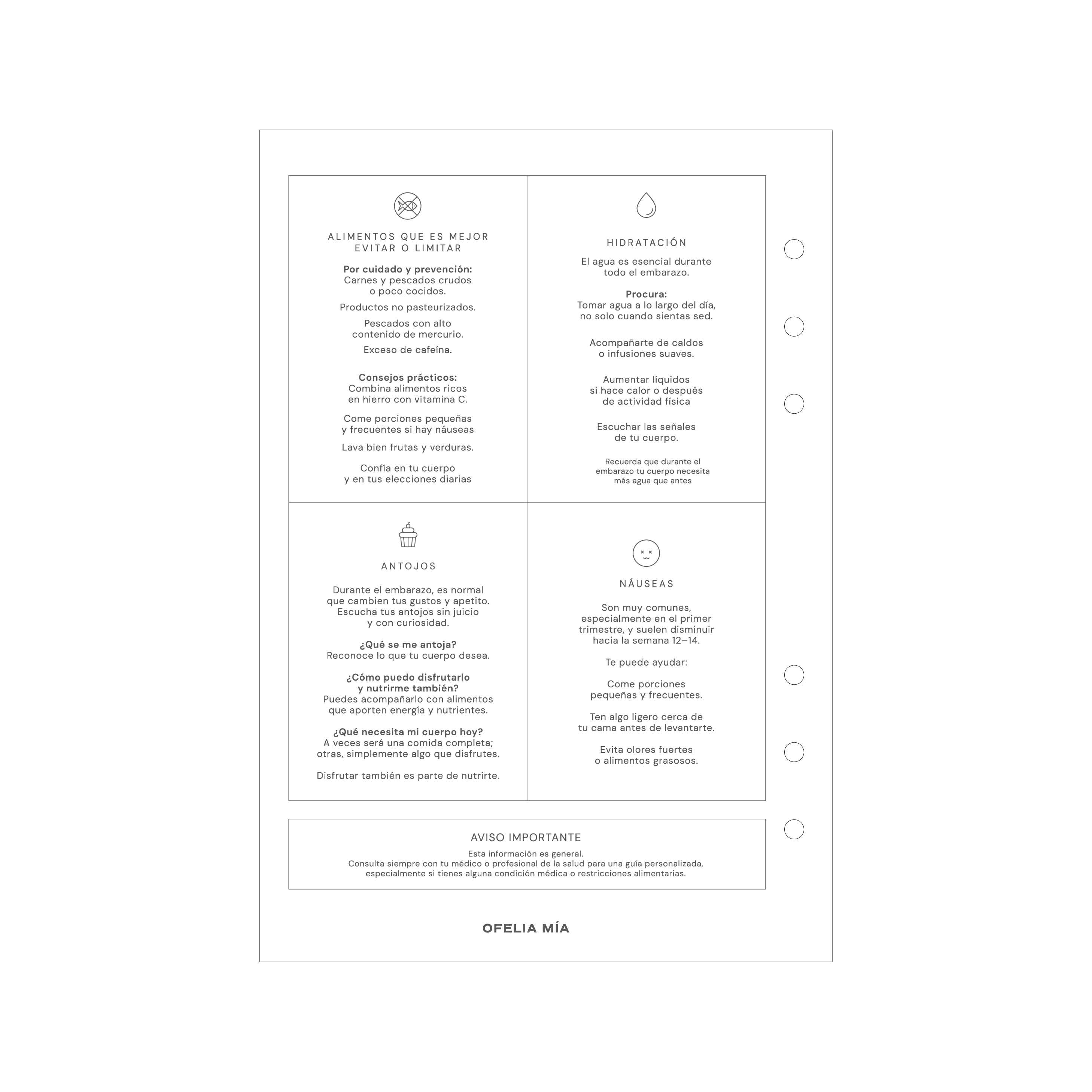 Bundle Pregnancy Journal