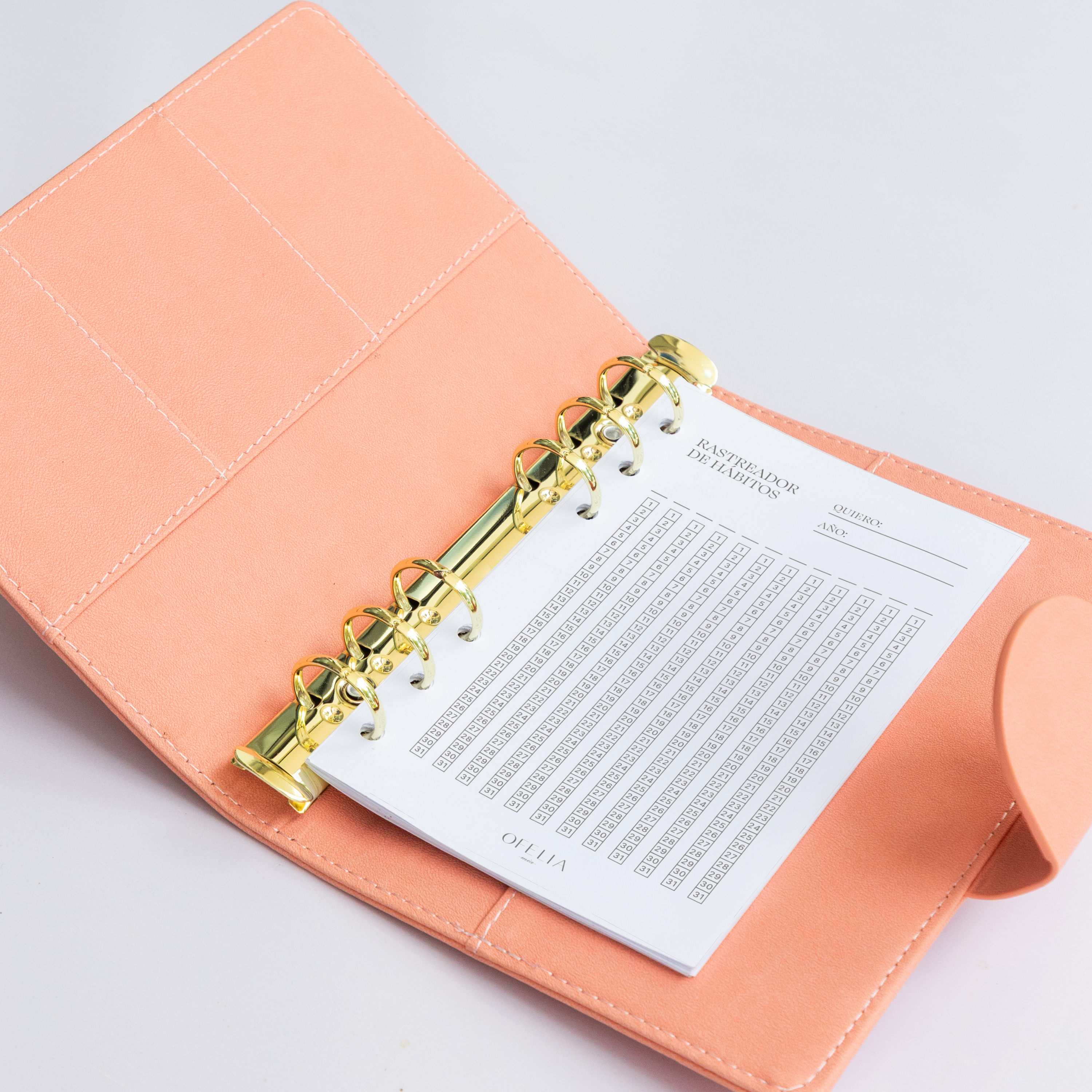 Rastreador de hábitos anual pocket