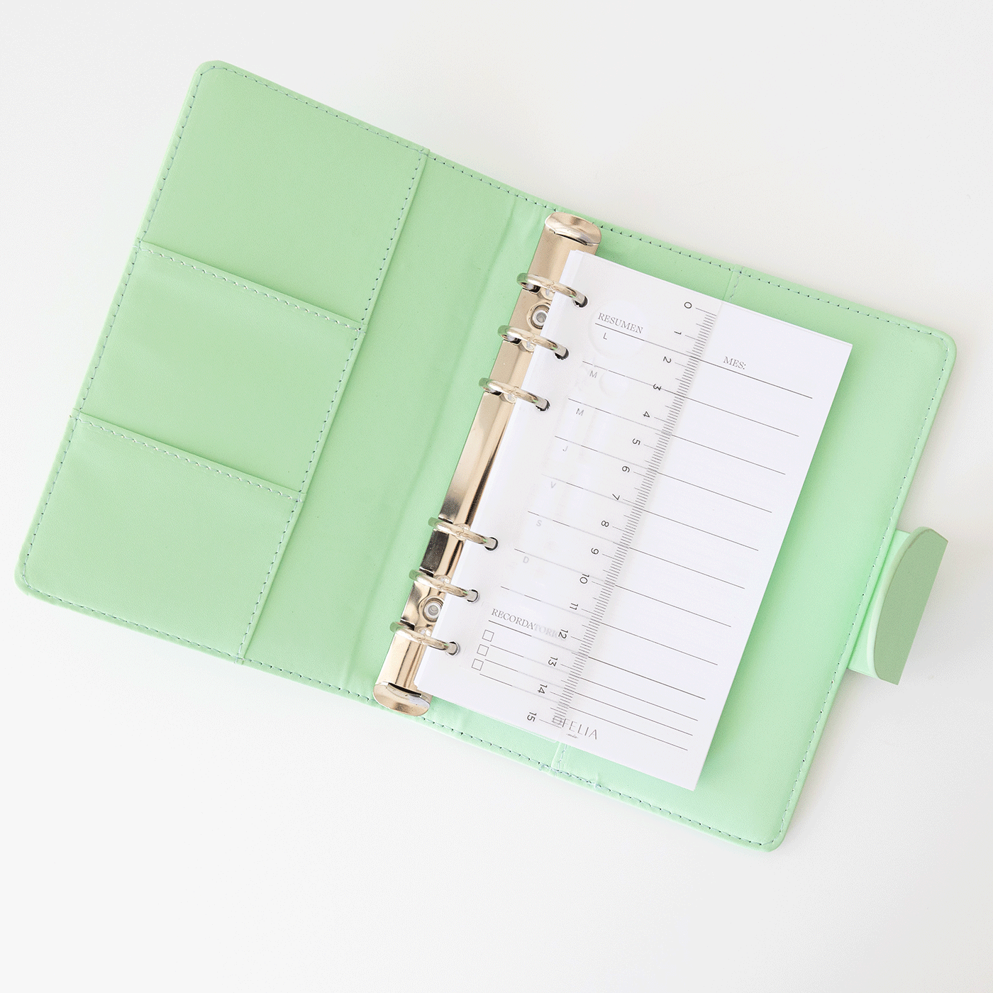 Regla stencil extra (Ofelia Pocket)