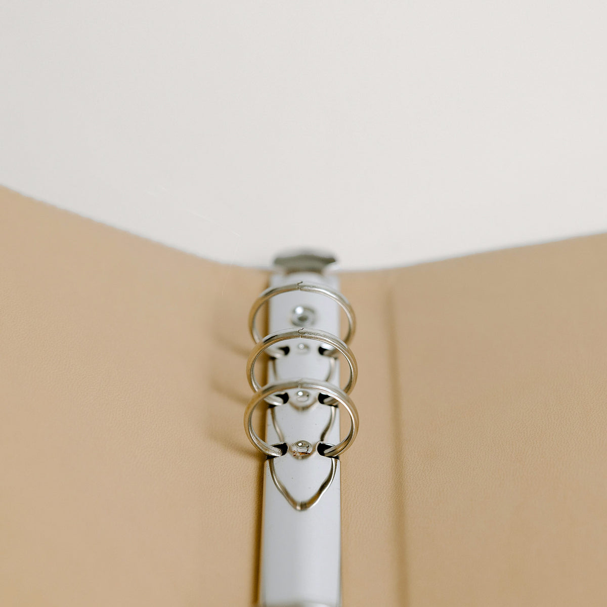 color:beige